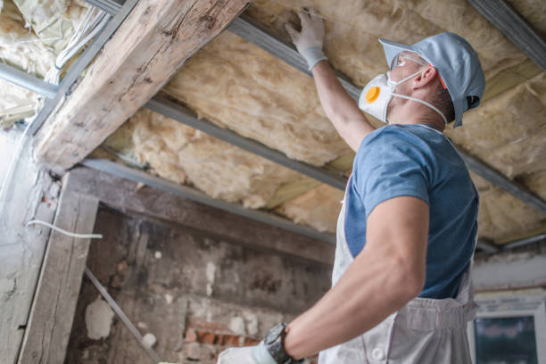 Best Cellulose Insulation in Monticello, UT